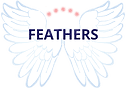 Feathers Project